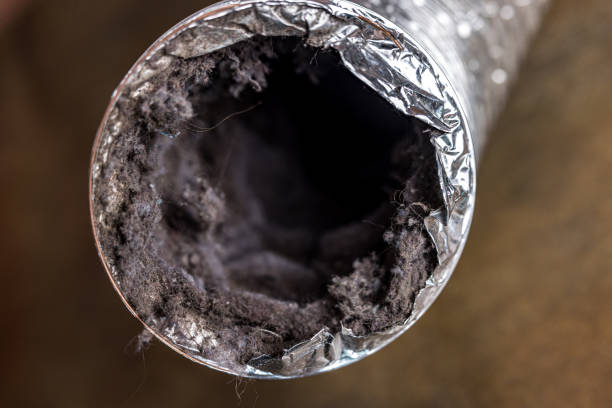 Best Commercial Air Duct Cleaning  in Carrabelle, FL